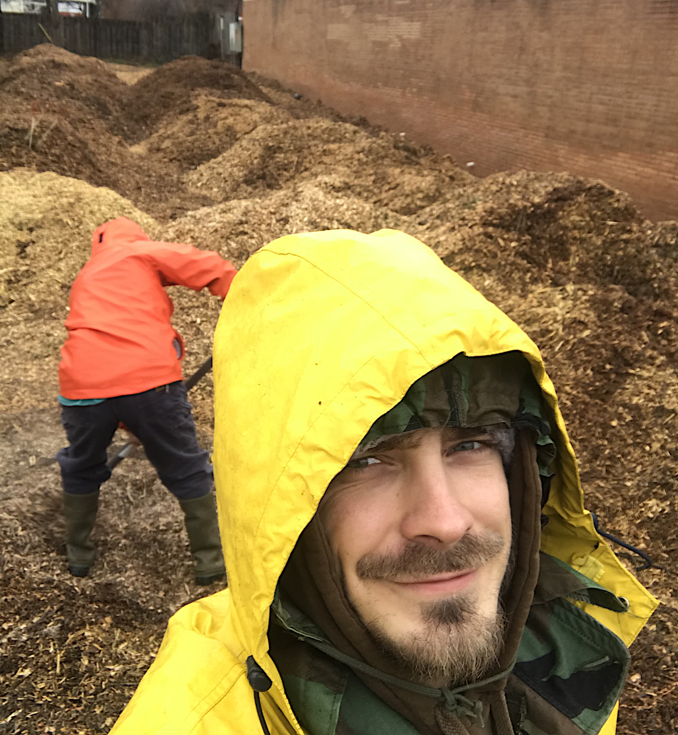 Tim loves wood chips.